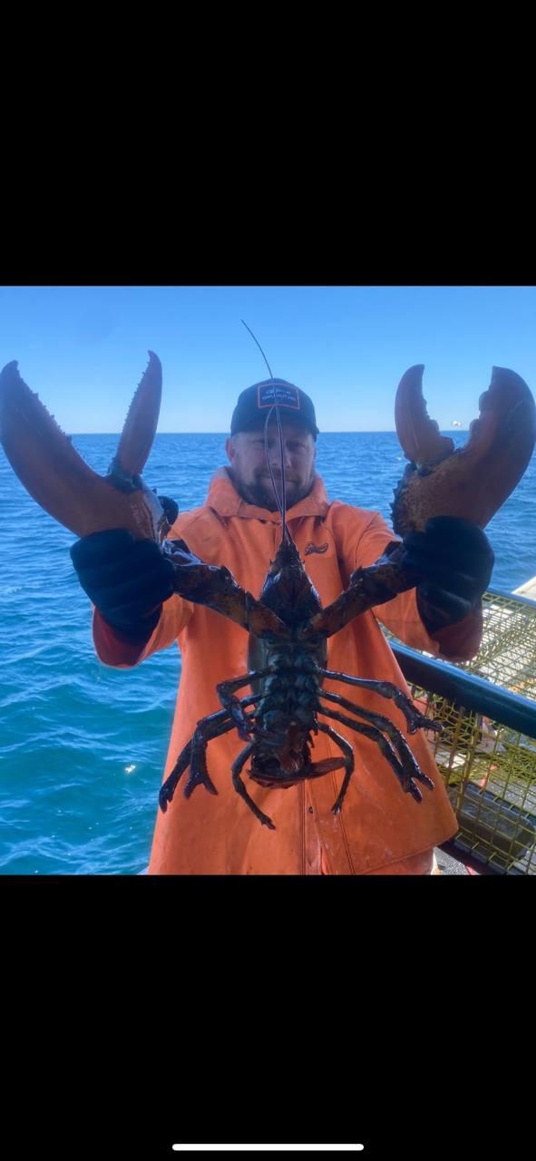 Fisherman on boat holding large Atlantic lobster with ocean in background
